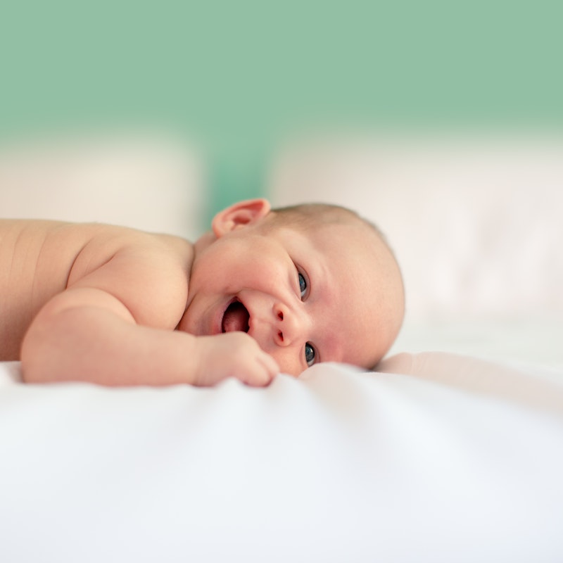 Reusable vs. Disposable Diapers in New Brunswick